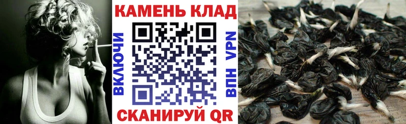 ГАШИШ Cannabis Кашира