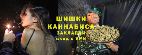 прущая мука Каменка