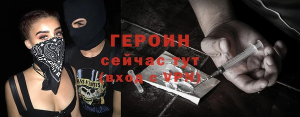 гидра Инсар