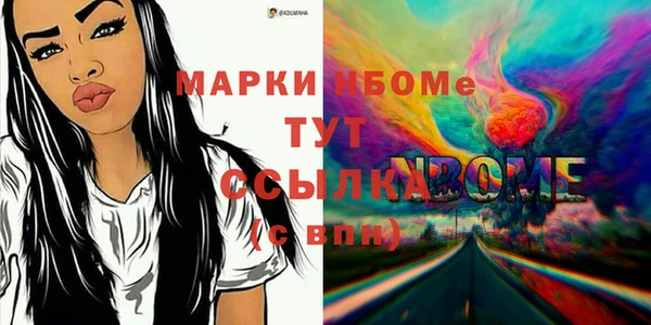 гидра Инсар