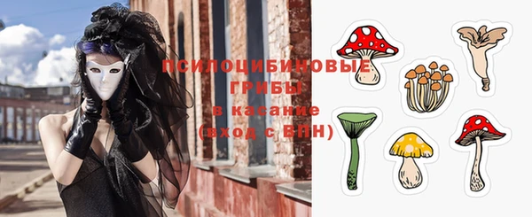 прущая мука Каменка