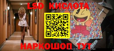 крисы Дубна