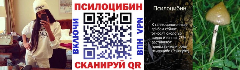 где можно купить наркотик  Кашира  Псилоцибиновые грибы MAGIC MUSHROOMS 