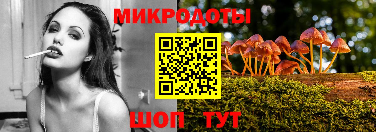 Псилоцибиновые грибы Psilocybine cubensis Кашира