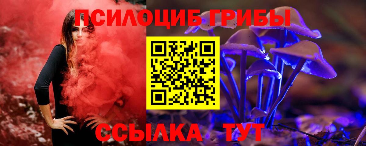 Кашира  Галлюциногенные грибы MAGIC MUSHROOMS  Вход с VPN  Псилоцибиновые грибы мухоморы 